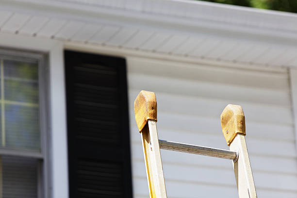 Best Brick Veneer Siding  in Belvidere, NJ