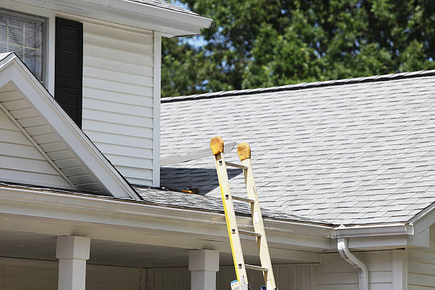 Best Custom Siding Design  in Belvidere, NJ